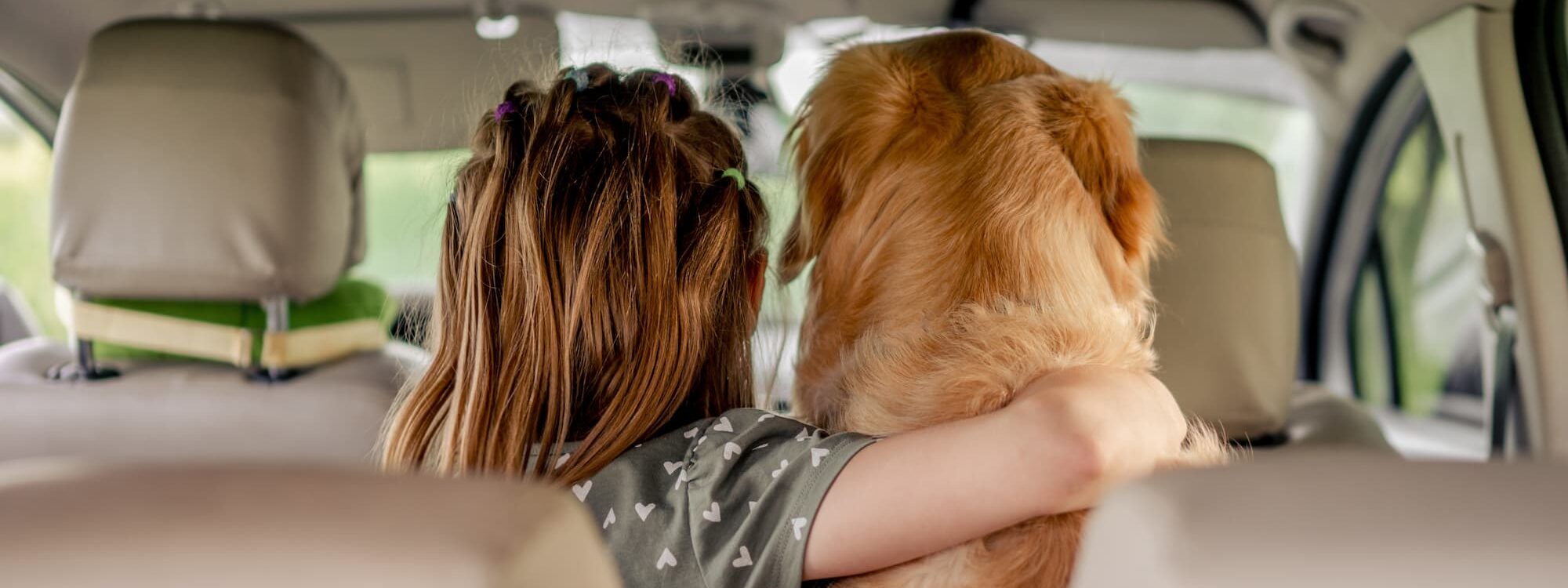 SELLERIE_AUTO_ENFANT_ANIMAUX 2000X750 | Alsace Débosselage / Alsace Sellerie Quels matériaux choisir pour une sellerie auto résistante aux enfants et aux animaux ? Thann